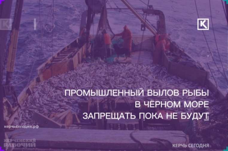 Запрещать промысел в Азово-Черноморском бассейне не будут