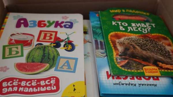 550 новых книг собрали керчане для жителей Херсонской области в рамках акции "Русские книги - детям Херсона"