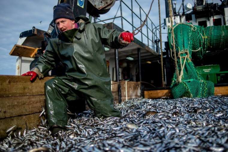 Росрыболовство договорится с ДНР по лову в Азовском море