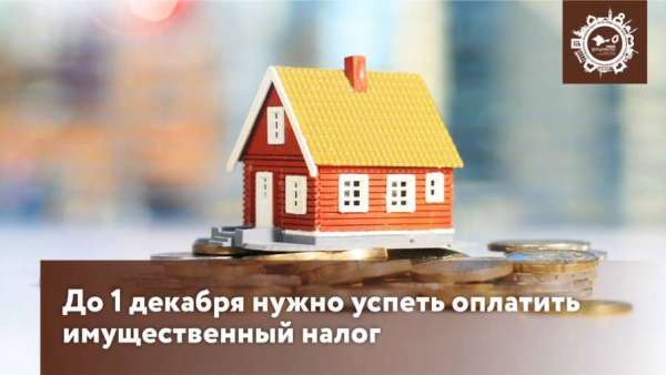 До 1 декабря нужно успеть оплатить имущественный налог