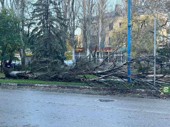 В Керчи городские службы устраняют последствия штормового ветра, разбушевавшегося ночью?