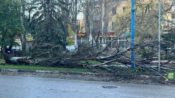 В Керчи городские службы устраняют последствия штормового ветра, разбушевавшегося ночью?