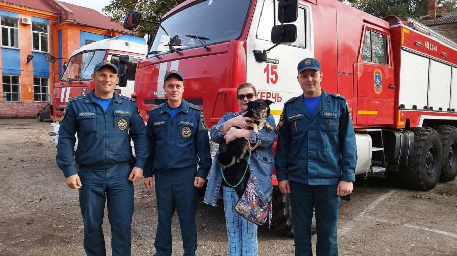 Керченские спасатели помогли собаке, от которой отказались ветеринары