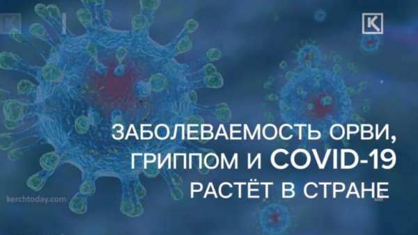 Заболеваемость COVID-19, ОРВИ и гриппом: статистика по Керчи