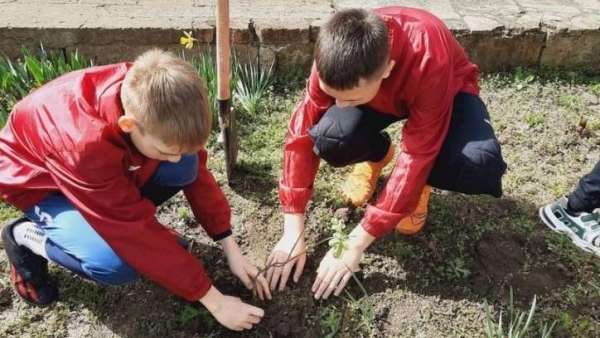 В Керчи дети озеленяют школьную территорию