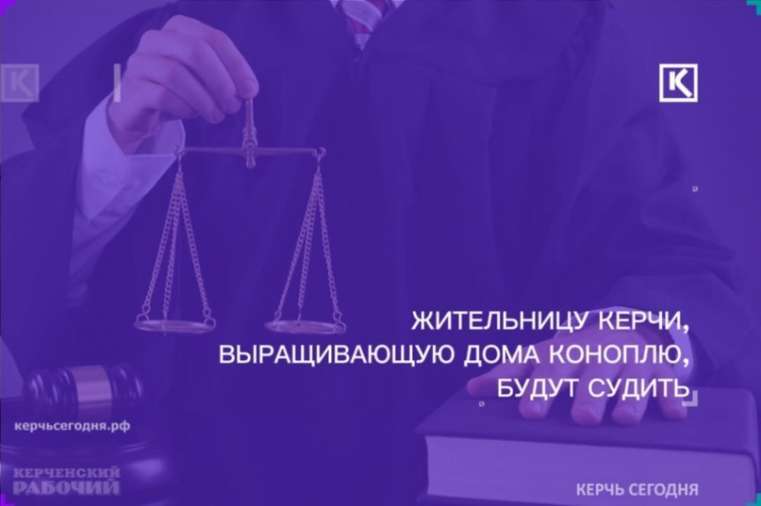 Керчанка выращивала в квартире коноплю на продажу