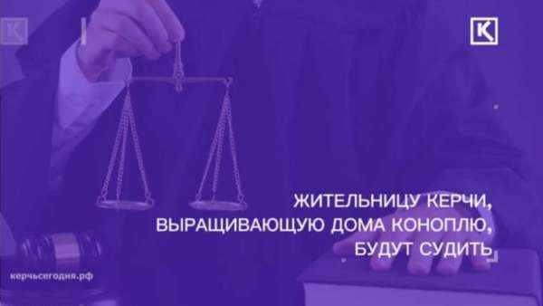 Керчанка выращивала в квартире коноплю на продажу