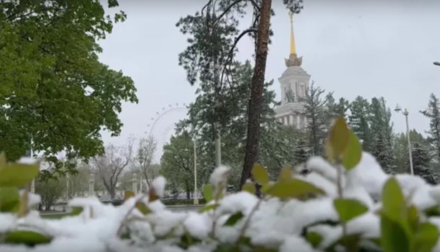 Тем временем в Москве... (видео)