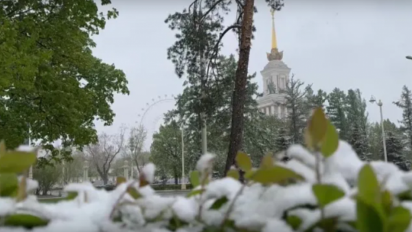 Тем временем в Москве... (видео)