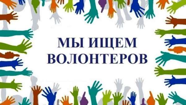 Керчь ищет волонтеров, готовых помочь в расфасовке гуманитарного груза в г. Армянск 