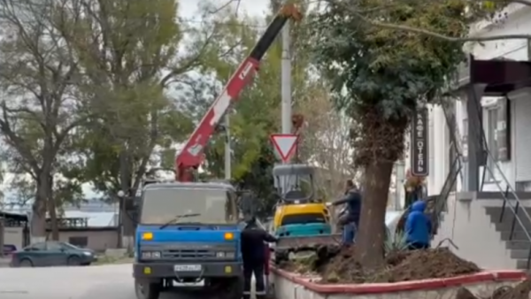 На улице Театральной станет светло (видео)