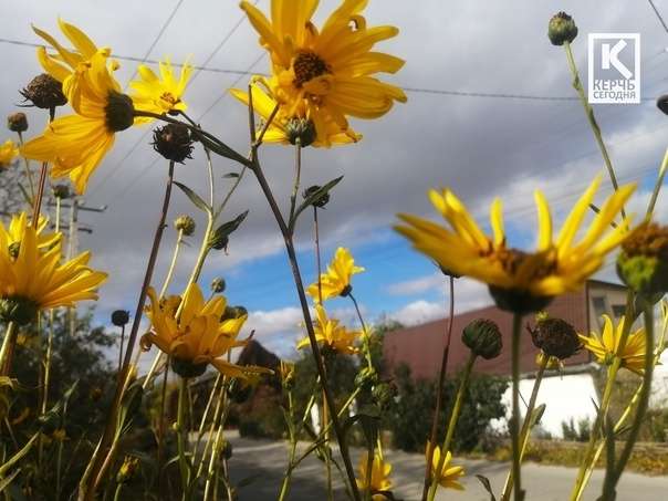 9 октября, четверг. Керчь