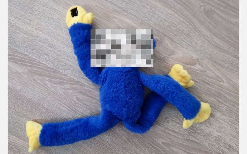 В Госдуме назвали вредными некоторые популярные игрушки