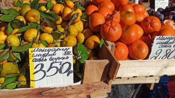 Сезон мандаринов открыт!