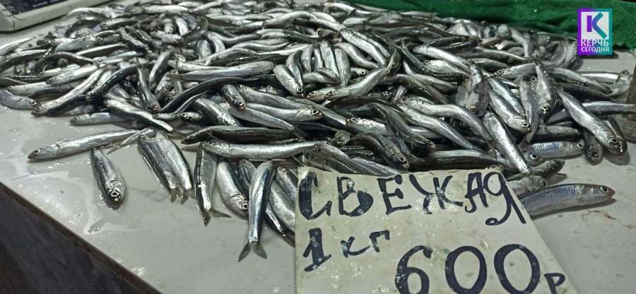 Первая хамса появилась на рынках Керчи: почём рыбка?