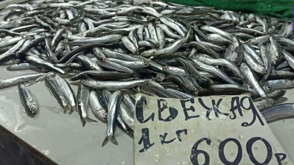 Первая хамса появилась на рынках Керчи: почём рыбка?