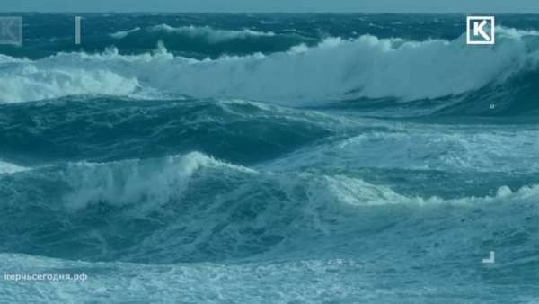 Учёные заявили о высокой способности Азовского моря к самоочищению