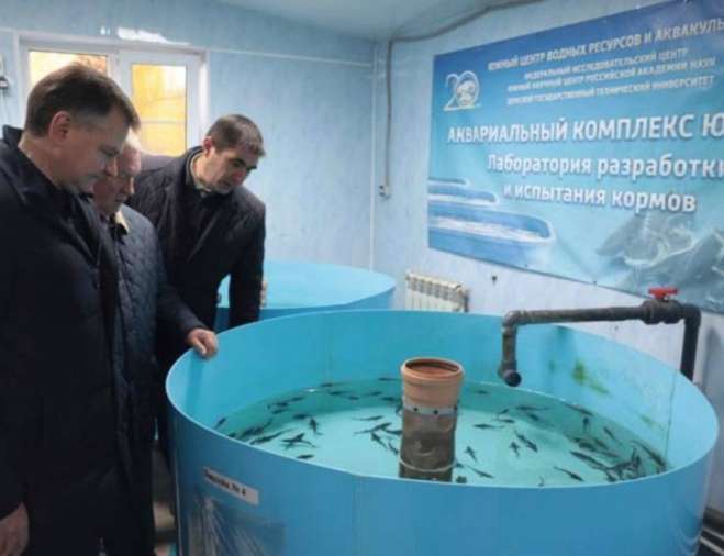 Восстановление осетровых в Азовском море может занять от пяти до 15 лет