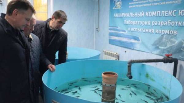 Восстановление осетровых в Азовском море может занять от пяти до 15 лет