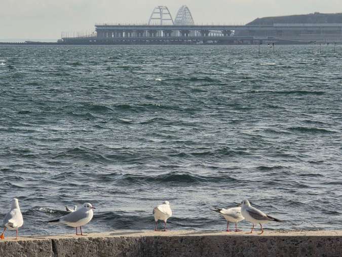 Море у берегов Крыма резко остыло