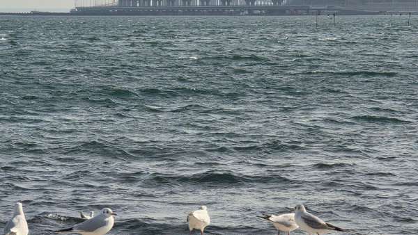 Море у берегов Крыма резко остыло