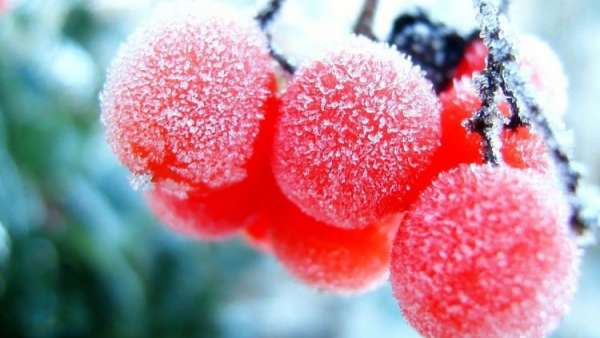 В Крым идет настоящая зима со снегом  [Копия от 25.12.2025 09:25:11]